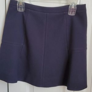 Fit and flare J Crew skirt